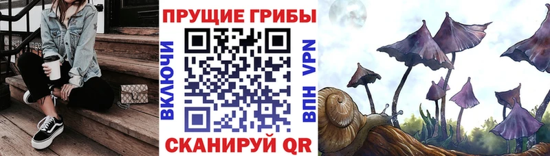 Псилоцибиновые грибы MAGIC MUSHROOMS  МЕГА вход  Ливны 
